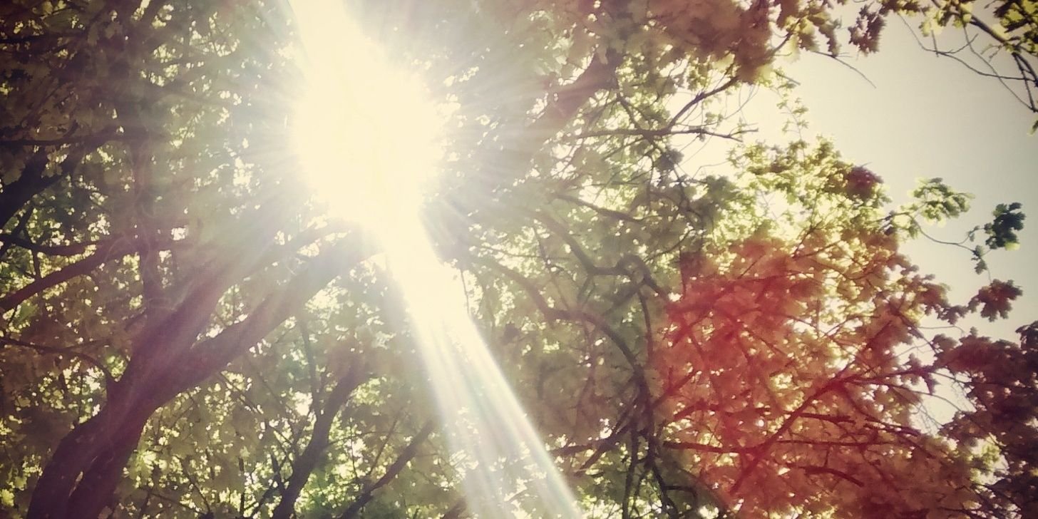 daromontero's profile banner image
