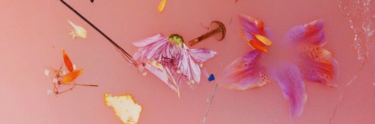 autmne's profile banner image