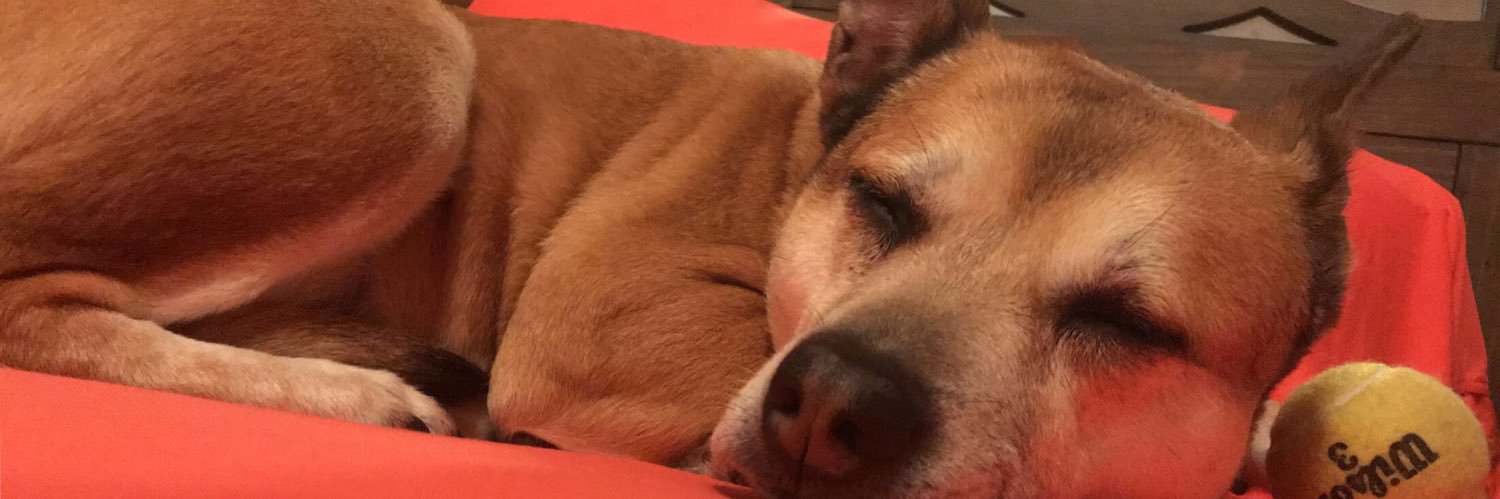 Chelsey White banner