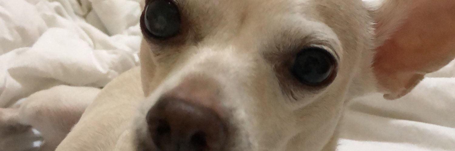 ParkYJN's profile banner image