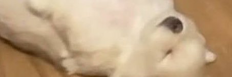 ppo2 banner