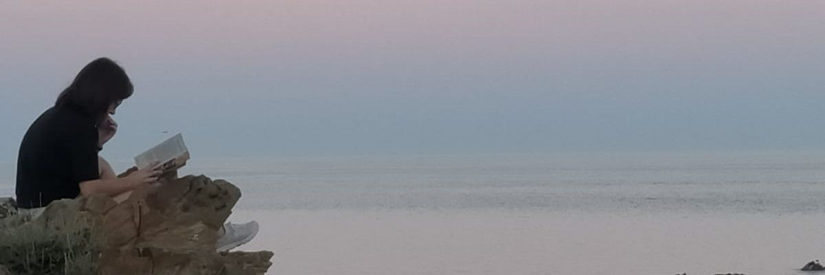 paula💣 banner