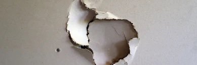 AnnetteAlteri's profile banner image
