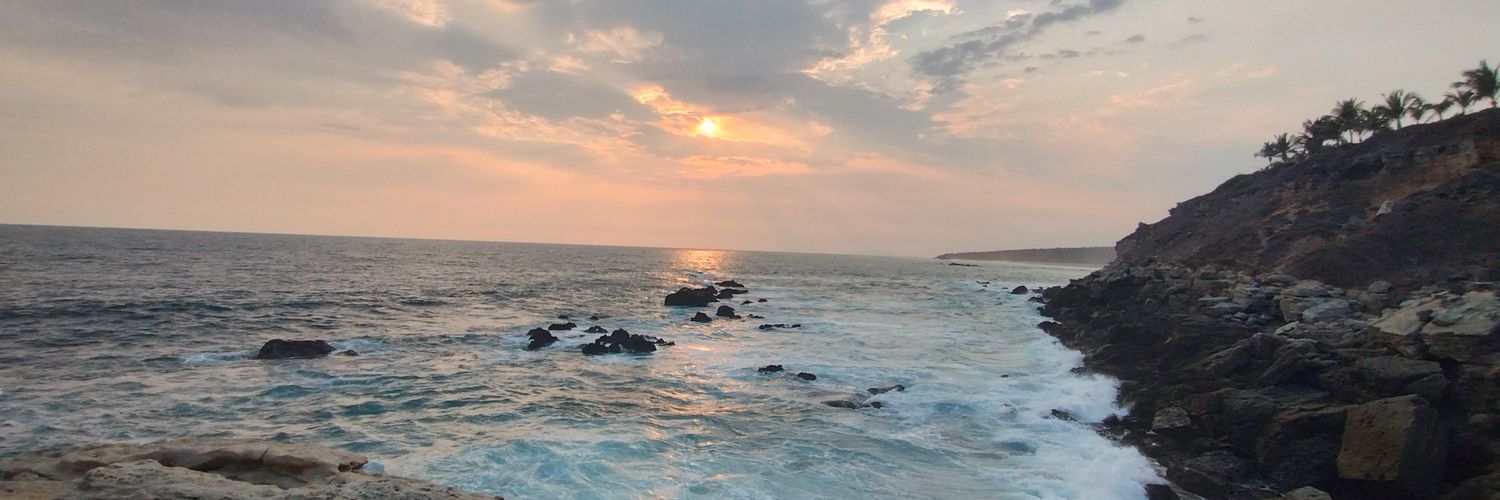 danysaccuviss's profile banner image