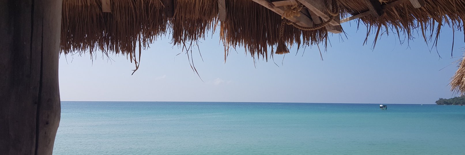 arecino's profile banner image