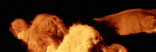 Home_Counties_ Profile Banner