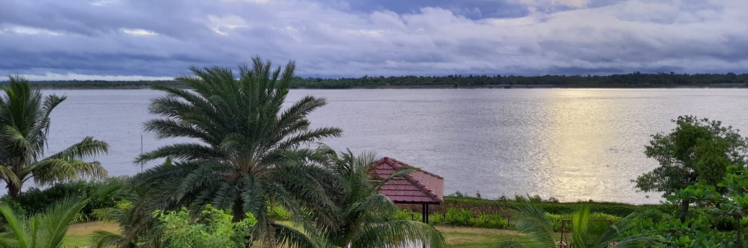 dandelion ⚢ banner