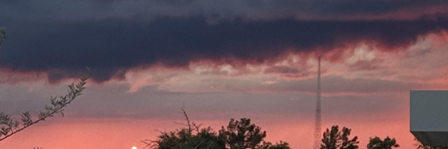 regrettablyrae's profile banner image
