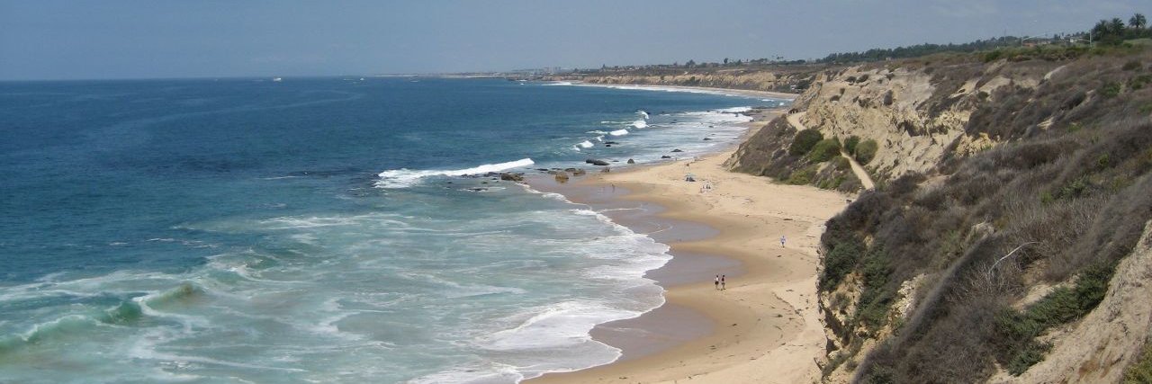 Michael Bilan banner