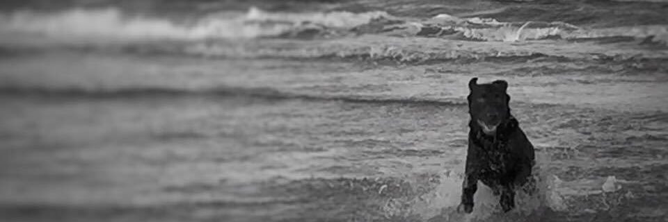Efrain361's profile banner image
