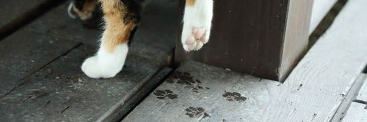 𝓦𝐢𝐧𝐭𝐞𝐫. banner