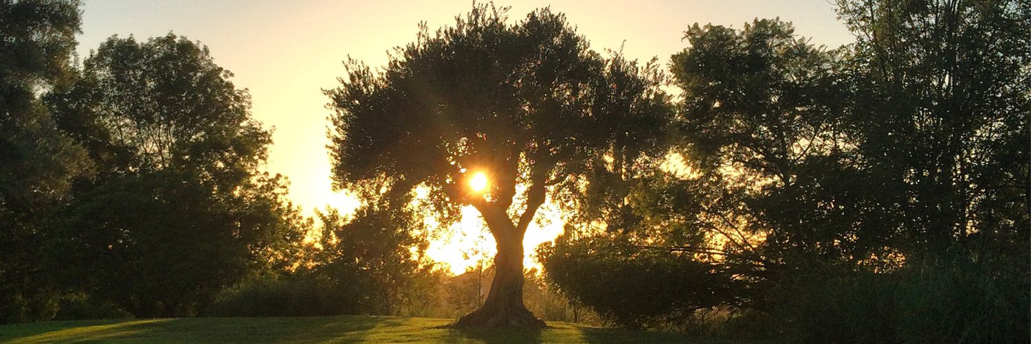 RealGina69's profile banner image