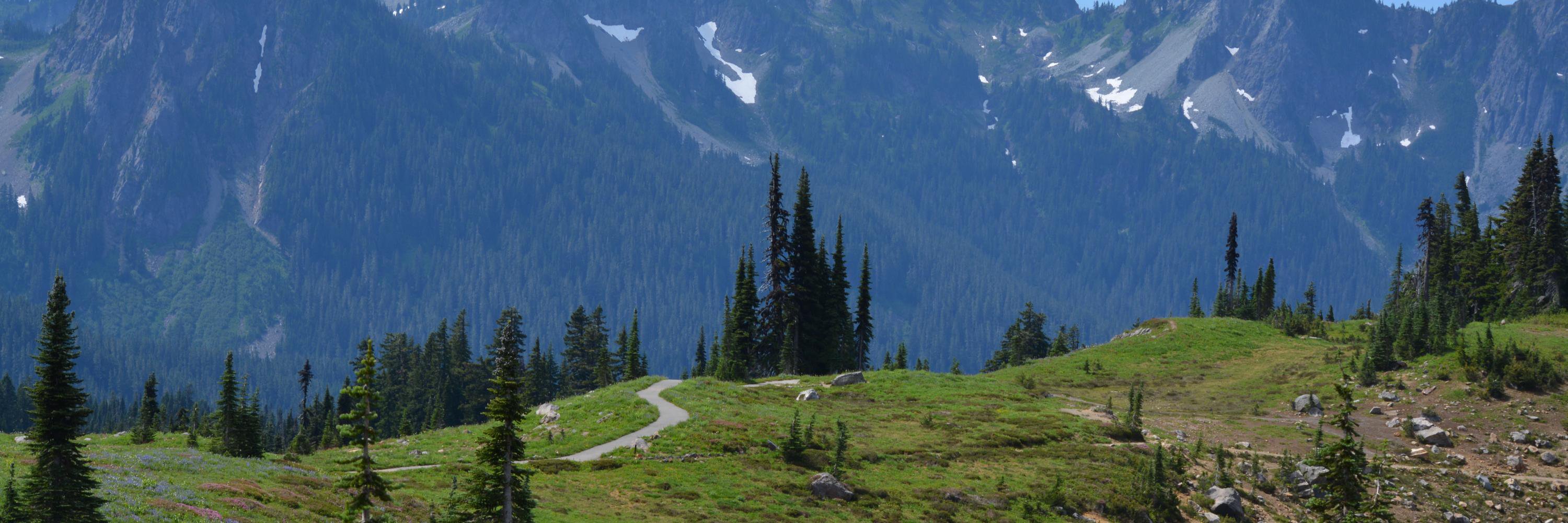 Justin Emgarten banner