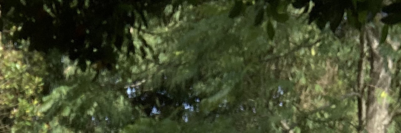 osatra777's profile banner image