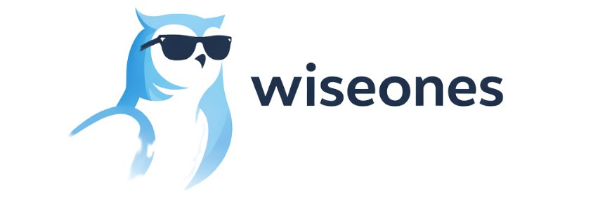 Wiseone banner