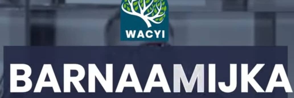 Wacyi's banner