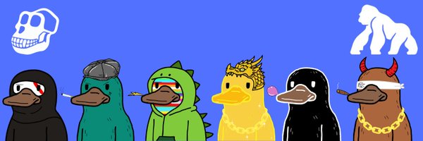 PerrysOnApe Profile Banner