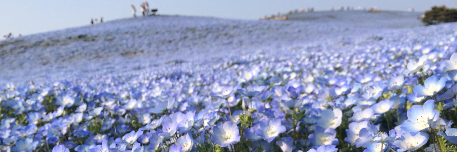 RT_916's profile banner image