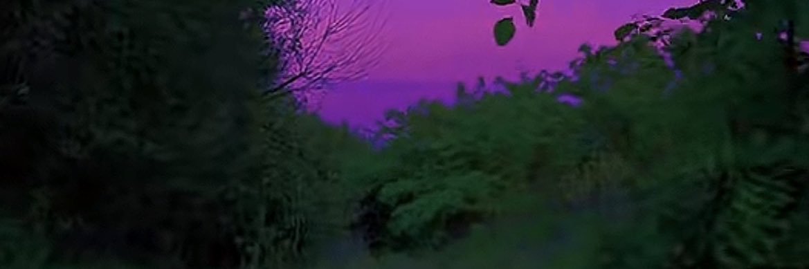 Xynnna__'s profile banner image
