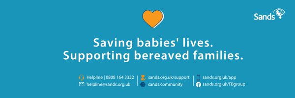 Sands - baby loss charity 💙🧡 Profile Banner