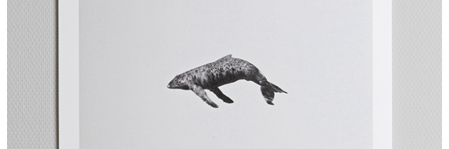 antealvarsson's profile banner image