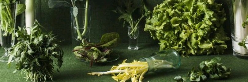 Ingrid Fritsche banner