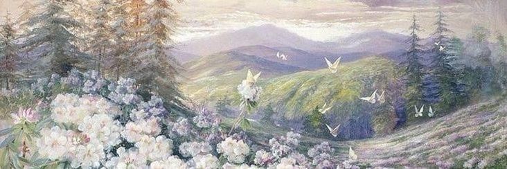 ꫂ ၴႅၴ's banner