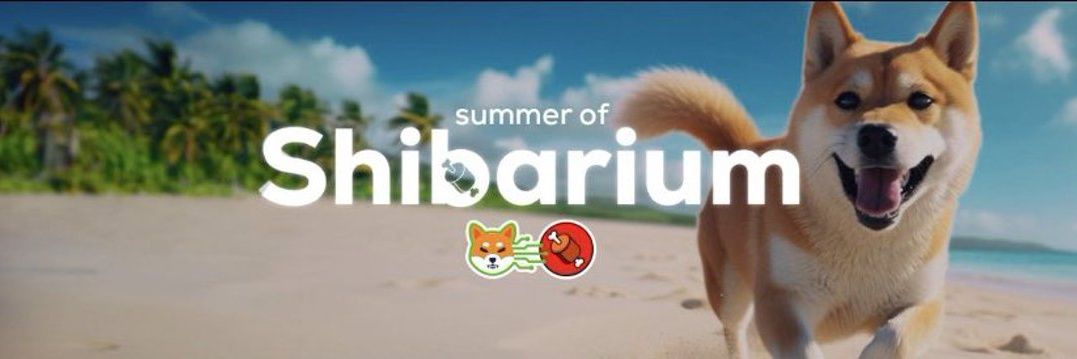 MnKripto's profile banner image