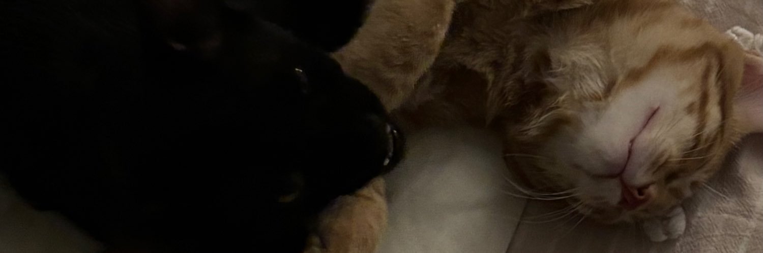 mcesn2's profile banner image