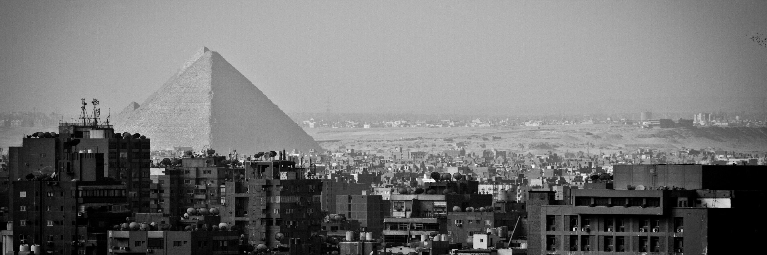 Maya Alleruzzo مايا banner