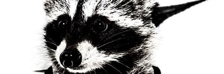 natlvs7's profile banner image