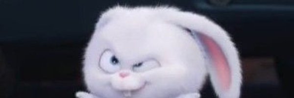 hatoon_xh Profile Banner