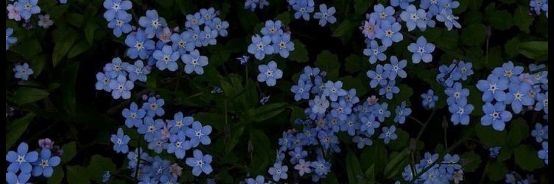 Little_jess_'s profile banner image