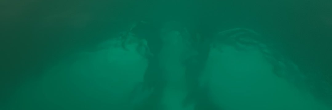 Nathan Jones banner