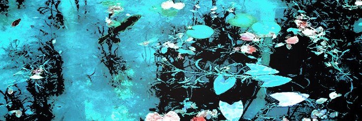 flightsfoughts's profile banner image