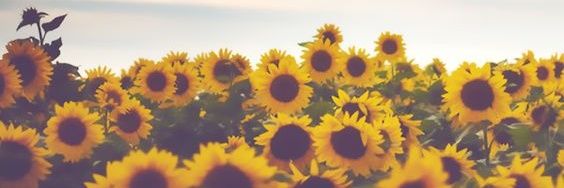 gorgeousmess64's profile banner image