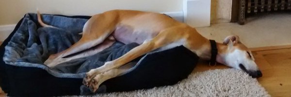 PeteB Profile Banner