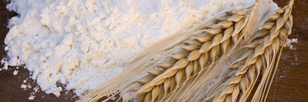 MillingandGrain Profile Banner