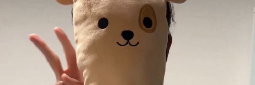 ppxcsy's profile banner image