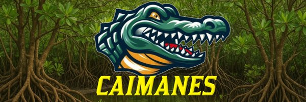 CaimanesAF Profile Banner