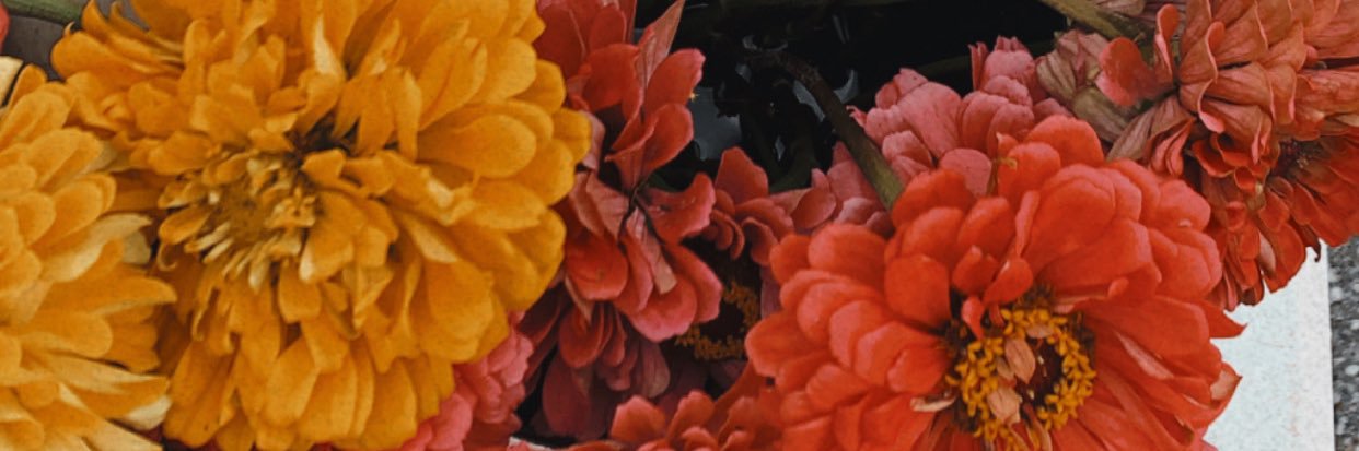 sunlinds's profile banner image