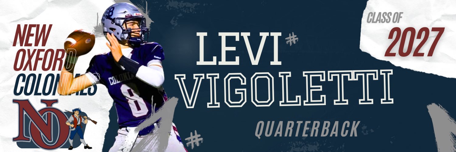 Levi Vigoletti banner