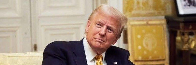 Fans of President Trump for a 3rd Term's banner