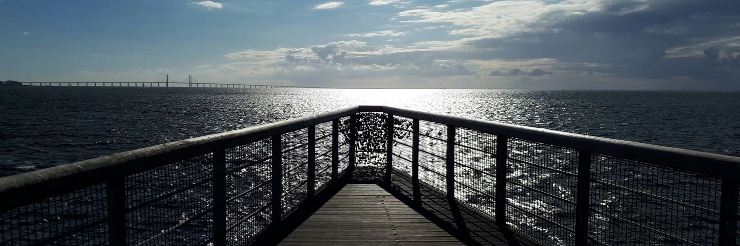 Yolanda ll·ll banner