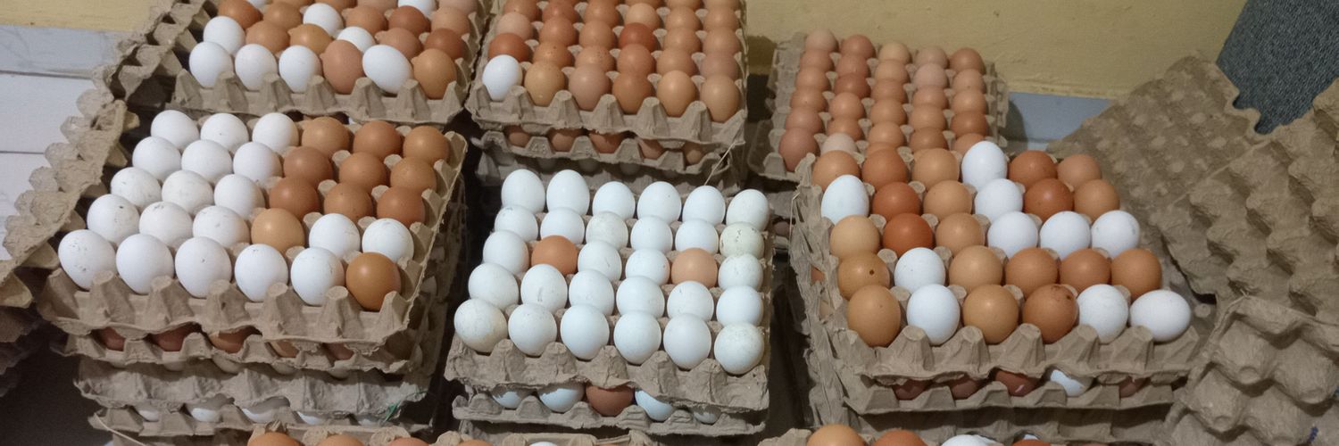 EggsOnWheels banner