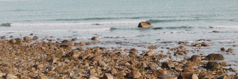 _shannmurphy's profile banner image