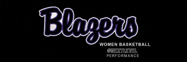 RidgeViewWBB Profile Banner