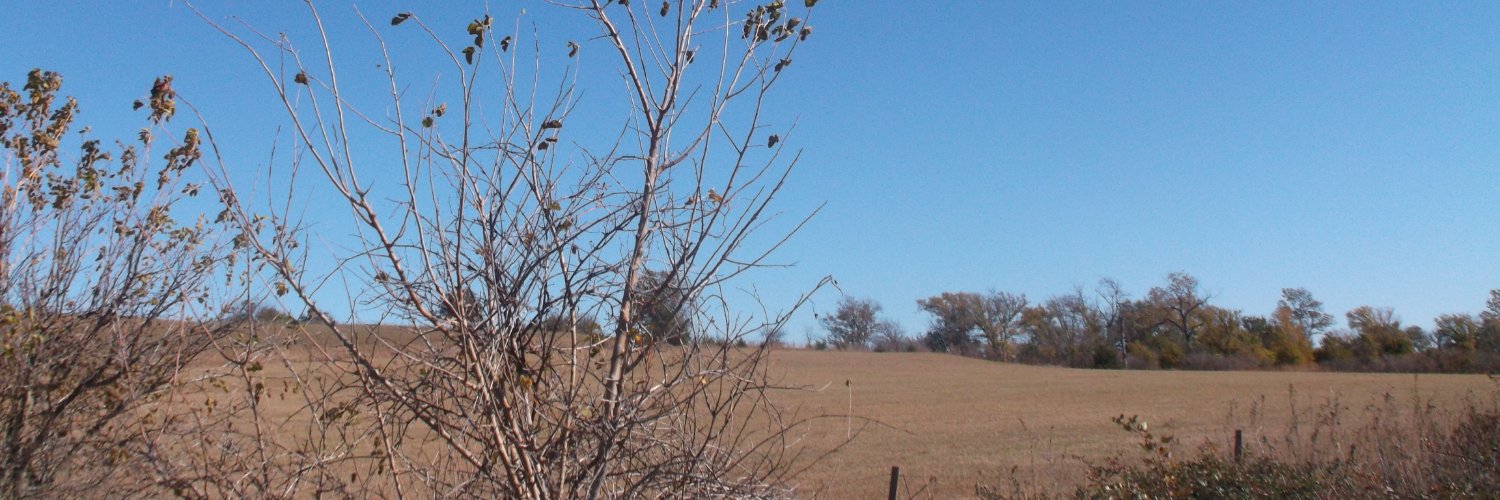 Jason Sullivan banner