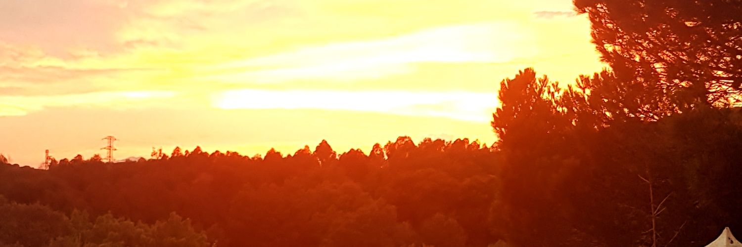 wolfghart's profile banner image