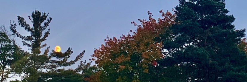 ogwinona's profile banner image
